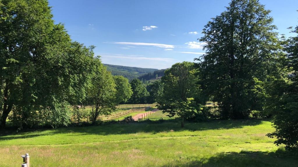 Le jardin de Kila room 3